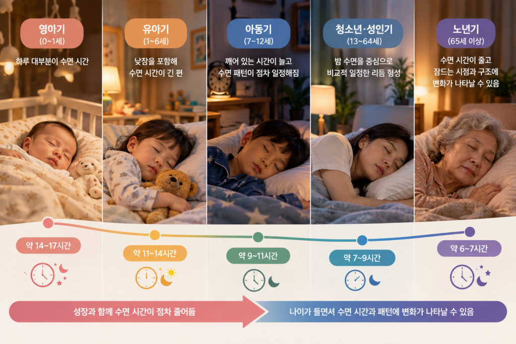 나이에 따른 인체 기능 변화에서 어린 시기부터 성인기까지 연령별 수면 시간과 생활 리듬의 변화를 보여주는 이미지