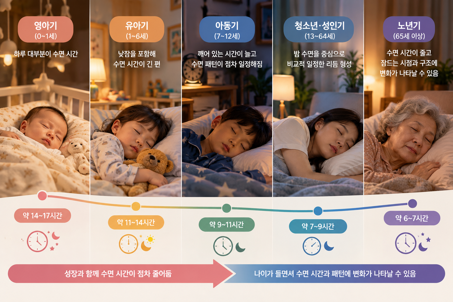 나이에 따른 인체 기능 변화에서 어린 시기부터 성인기까지 연령별 수면 시간과 생활 리듬의 변화를 보여주는 이미지
