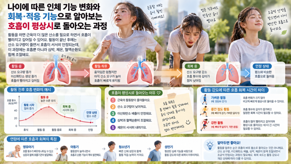 나이에 따른 인체 기능 변화와 함께 활동 중 빨라진 호흡이 휴식하면서 산소 요구량과 심박 체온이 낮아져 평상시 호흡으로 돌아오는 과정을 보여주는 가로형 교육 이미지
