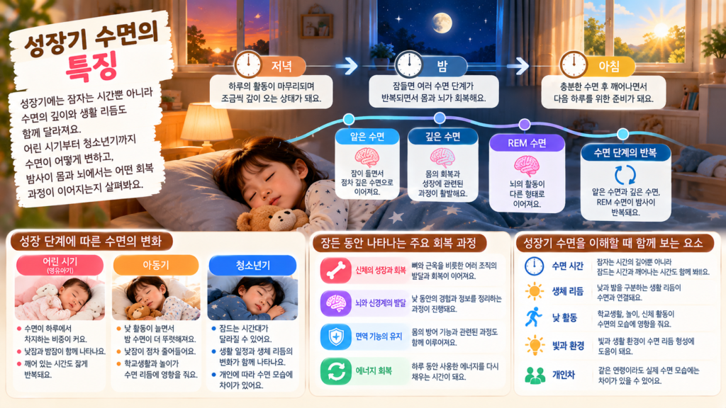 어린 시기부터 청소년기까지 성장하면서 밤 수면과 낮 활동의 리듬이 달라지는 모습을 보여주는 이미지