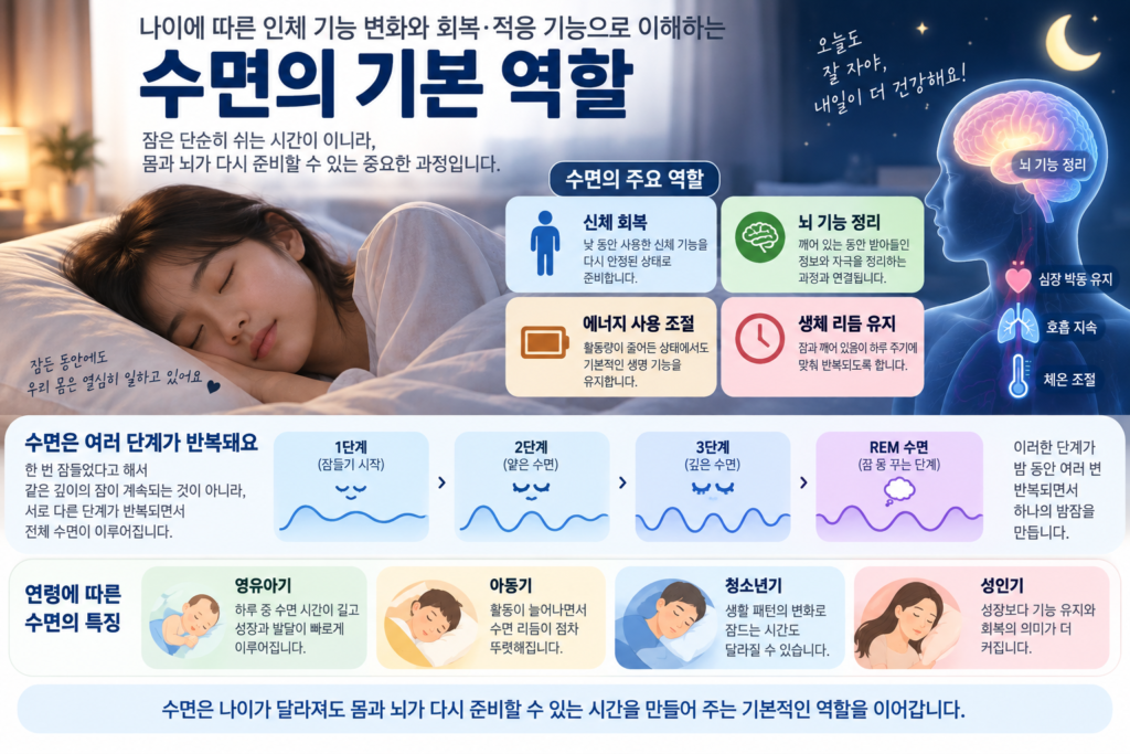 활동 후 심박과 호흡 근육 상태가 점차 안정되며 몸이 회복되는 과정을 보여주는 가로형 교육 이미지
