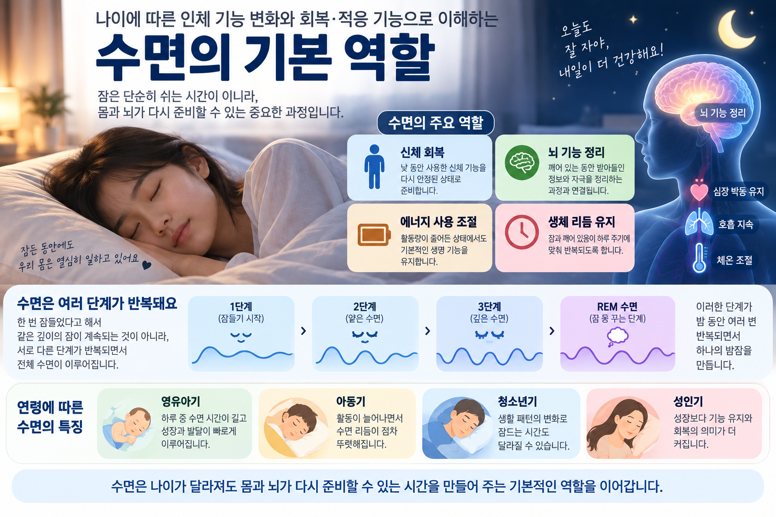 잠든 동안 몸과 뇌가 회복하고 생체 리듬을 유지하는 수면의 기본 역할을 보여주는 가로형 교육 이미지