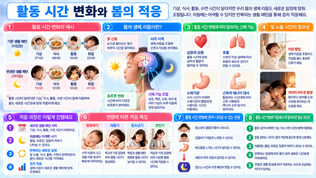 기상 식사 활동 휴식 수면 시간이 기존 일정에서 새로운 시간대로 이동하면서 빛 노출과 생체 리듬이 함께 조절되고 몸이 새로운 활동 시간에 적응하는 과정을 보여주는 가로형 교육 이미지