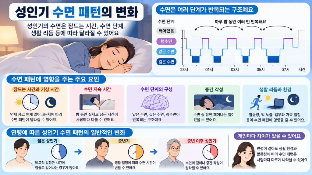 성인기의 잠드는 시간과 기상 시간 수면 단계 밤중 각성이 생활 리듬과 연령에 따라 달라지는 모습을 보여주는 가로형 교육 이미지