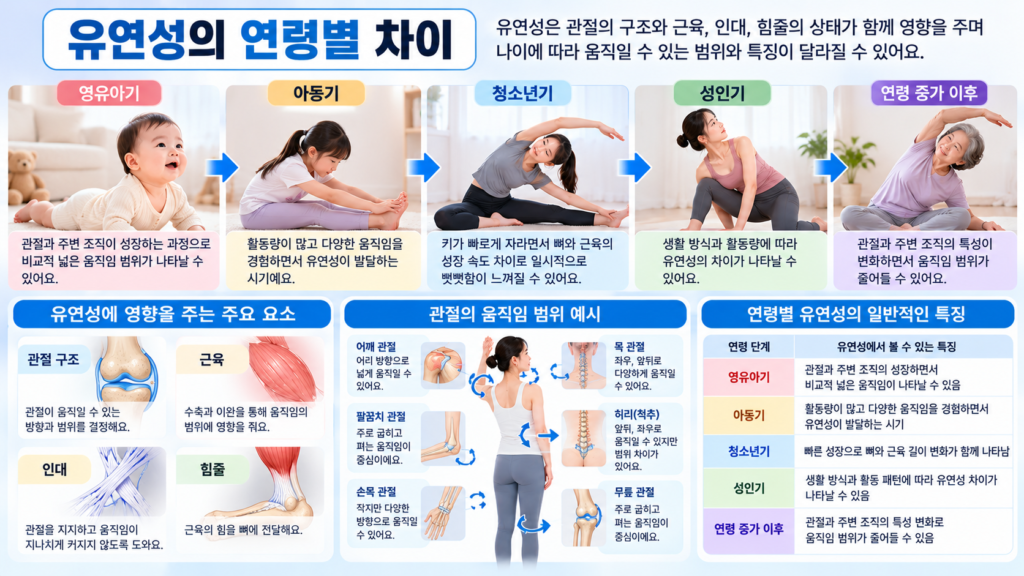 아동기 청소년기 성인기의 관절 움직임과 근육 인대의 상태가 달라지면서 유연성의 범위에도 차이가 나타나는 모습을 비교한 가로형 교육 이미지