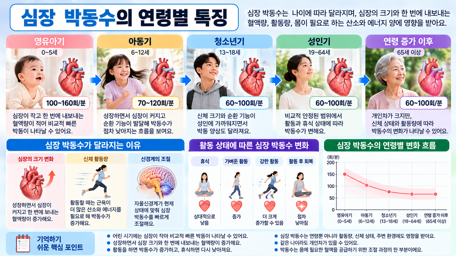 영유아기 아동기 청소년기 성인기로 성장하면서 심장 크기와 한 번에 내보내는 혈액량이 달라지고 안정 시 심장 박동수의 특징도 변화하는 모습을 비교한 가로형 교육 이미지