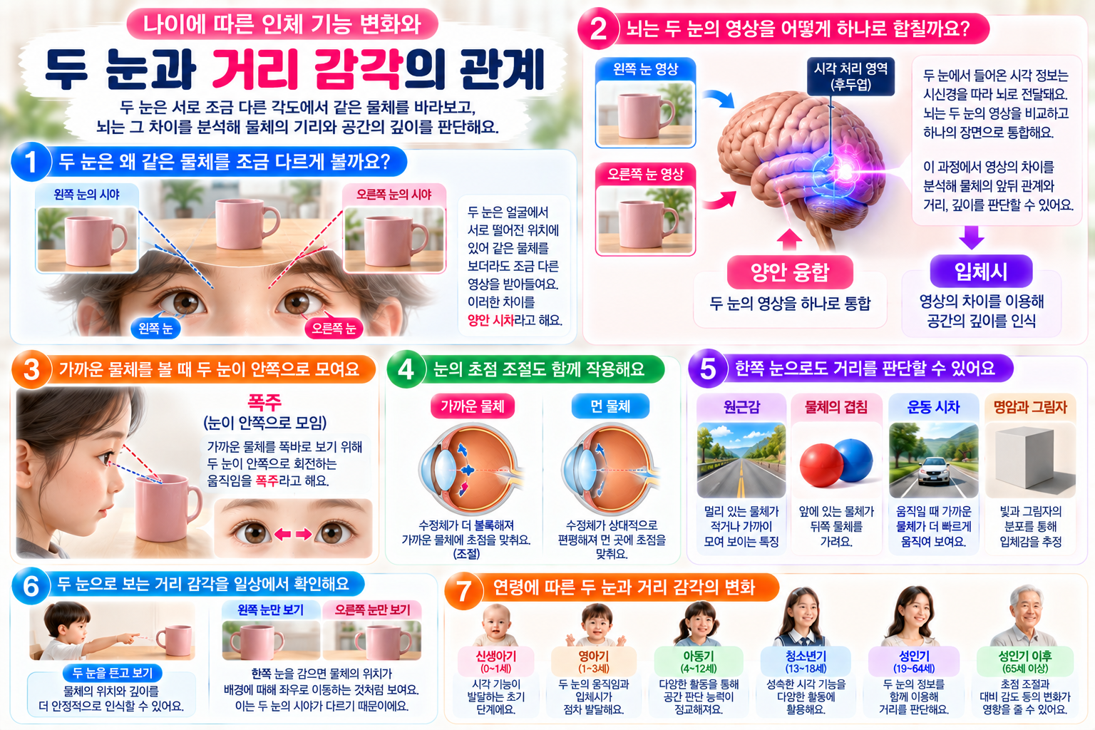 왼쪽 눈과 오른쪽 눈이 서로 다른 각도에서 물체를 바라보고 뇌가 두 영상을 통합해 거리와 깊이를 인식하는 과정, 폭주와 초점 조절, 연령별 거리 감각의 변화를 설명한 인포그래픽