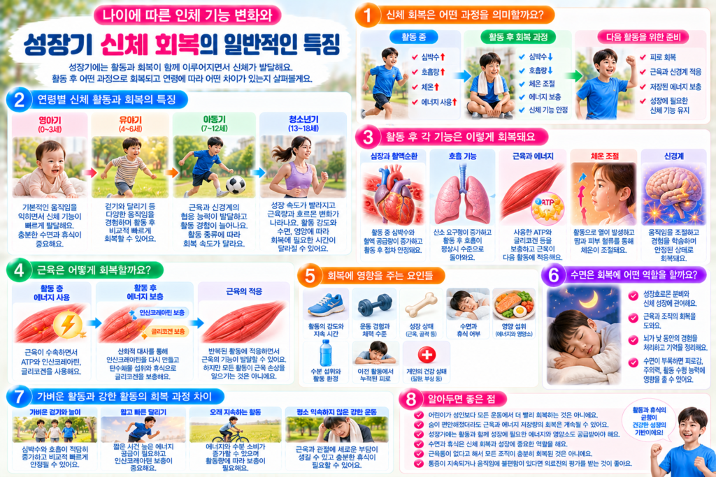 영아기부터 청소년기까지 성장기 신체 회복의 특징과 활동 후 심박수 및 호흡 안정, 근육 에너지 보충, 신경계 적응, 수면과 영양 공급의 역할을 설명한 인포그래픽