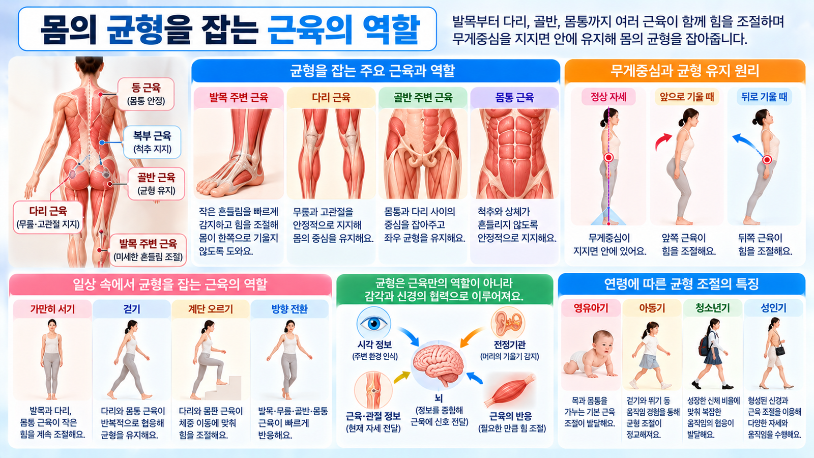 발목 다리 골반 몸통 주변 근육이 몸의 흔들림에 맞춰 힘을 조절하면서 무게중심을 지지면 안에 유지하고 균형을 잡는 과정을 보여주는 가로형 교육 이미지