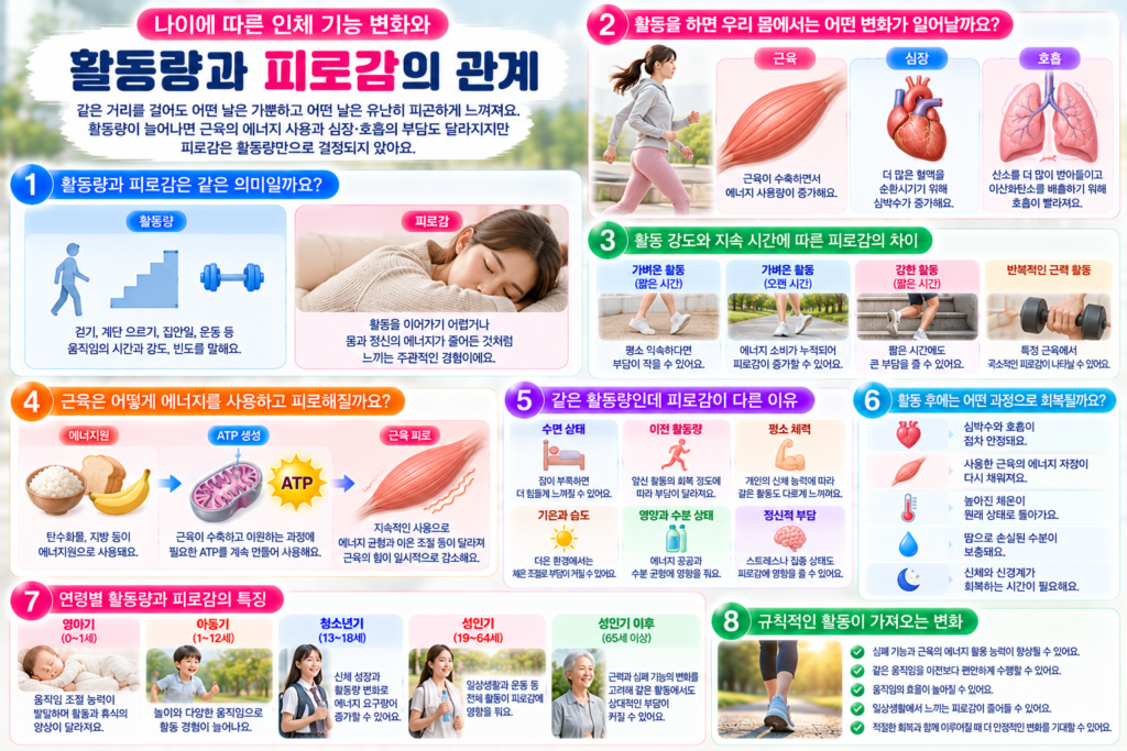 걷기와 계단 오르기 등 활동 강도에 따라 근육의 에너지 사용과 심박수, 호흡이 달라지고 수면과 회복 상태 및 연령별 신체 기능에 따라 피로감이 달라지는 과정을 설명한 인포그래픽