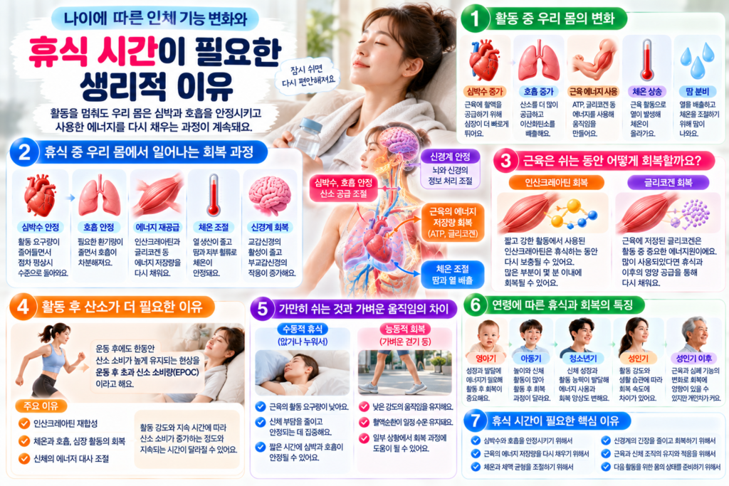 활동 후 휴식하는 여성과 함께 심박수와 호흡의 안정, 근육 에너지 재충전, 체온 조절, 연령별 회복 과정을 설명한 인포그래픽