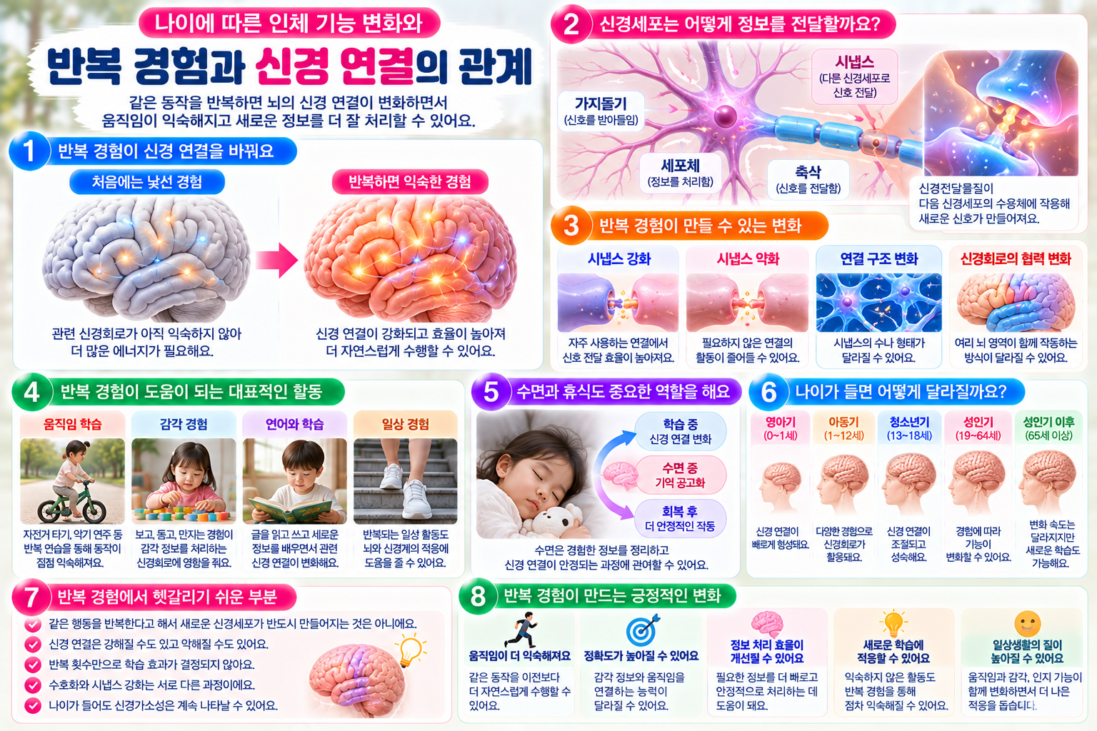 반복 경험에 따른 신경세포의 시냅스 강화와 약화, 신경회로의 변화, 움직임과 감각 학습, 수면과 휴식의 역할 및 연령별 신경가소성을 설명한 인포그래픽