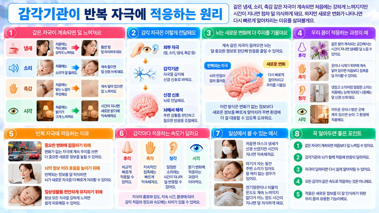 같은 냄새 소리 촉감 같은 자극이 반복될 때 처음에는 감각기관이 강하게 반응하지만 시간이 지나면서 반응이나 주의가 줄고 새로운 변화가 나타나면 다시 알아차리는 과정을 보여주는 가로형 교육 이미지