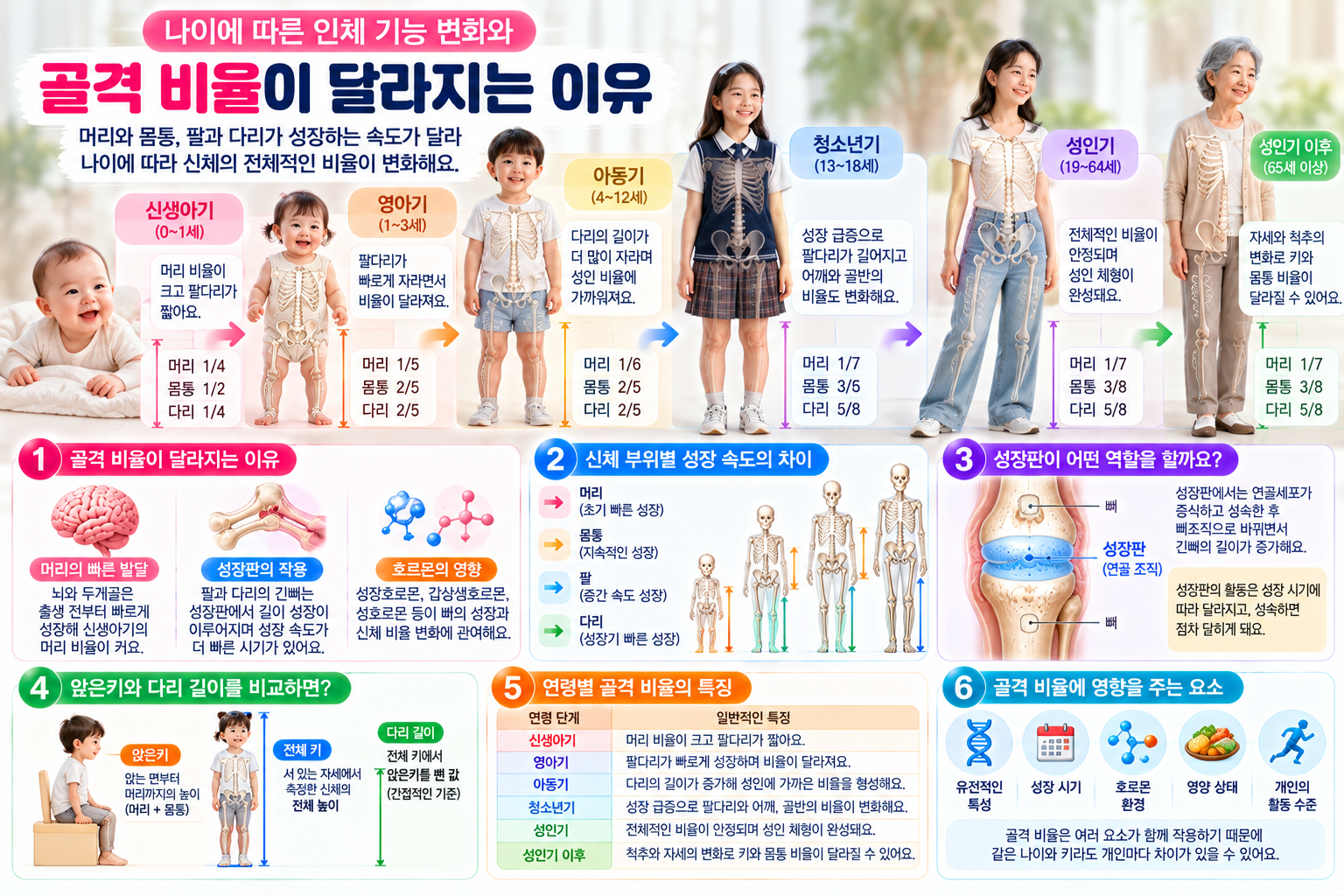 신생아기부터 노년기까지 머리와 몸통, 팔과 다리의 골격 비율이 달라지는 모습과 성장판의 역할, 신체 부위별 성장 속도 차이를 설명한 인포그래픽